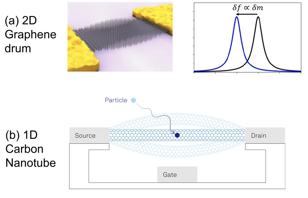 Mass Sensing – An Overview