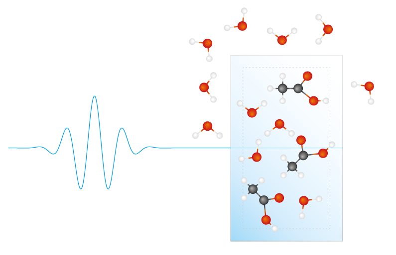 Fast and Precise Detection of Molecules with Field-Resolved Spectroscopy